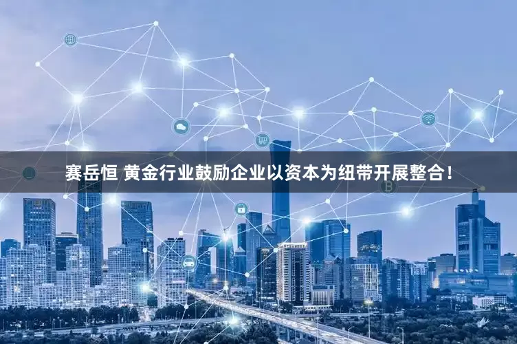 赛岳恒 黄金行业鼓励企业以资本为纽带开展整合！