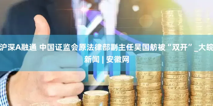沪深A融通 中国证监会原法律部副主任吴国舫被“双开”_大皖新闻 | 安徽网